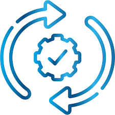Regular Updates and Patching